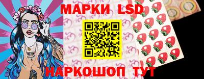2c-b Кингисепп