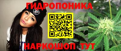 2c-b Кингисепп