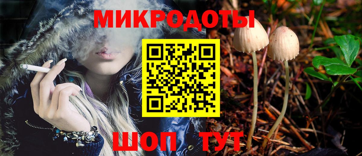 Галлюциногенные грибы Psilocybine cubensis Красный Сулин
